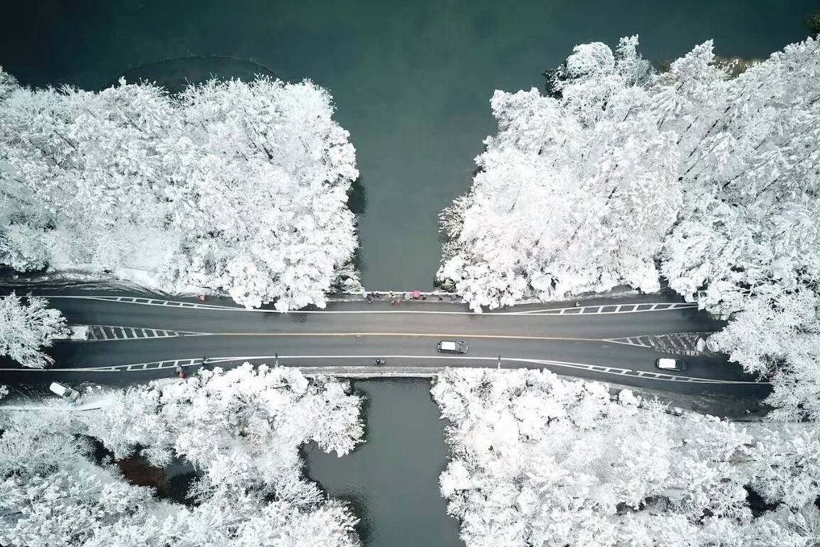 今天西湖雪景白如画卷，你看了吗？