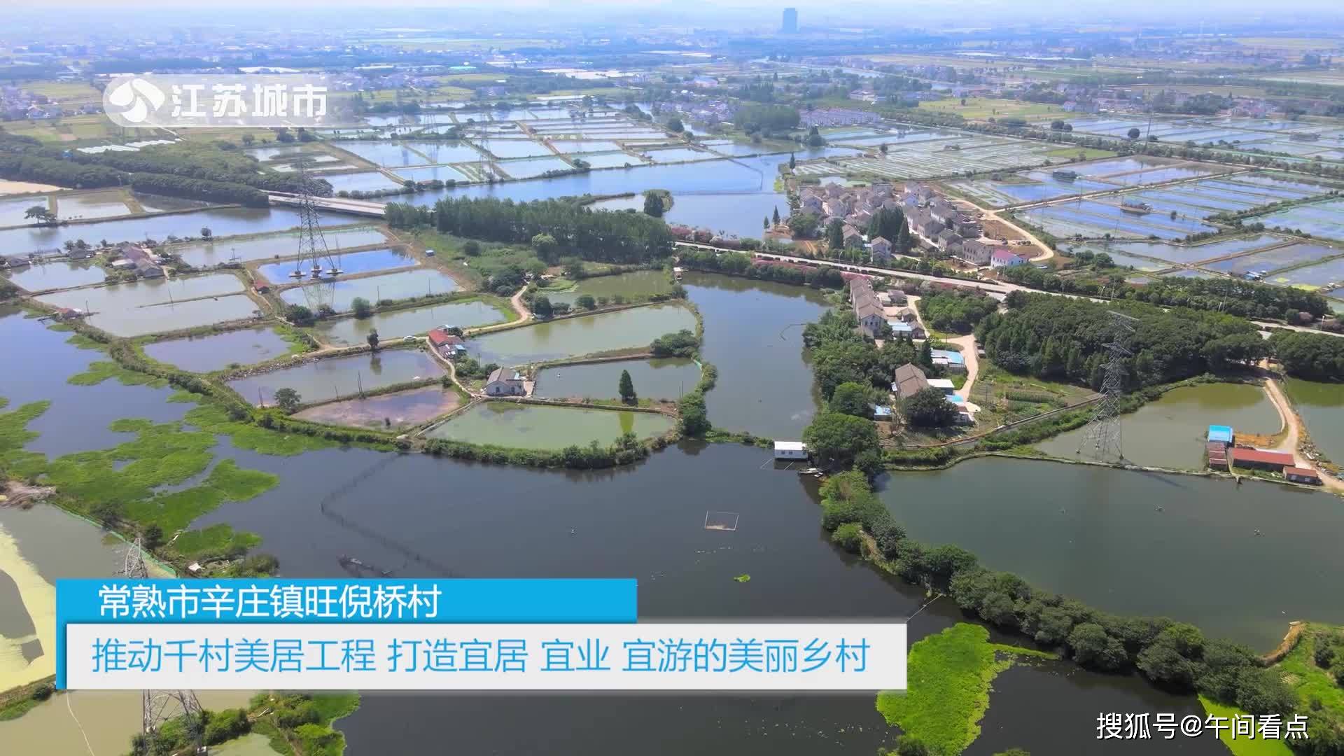 午间看点栏目报道江苏省电视台播出常熟市辛庄镇旺倪桥村