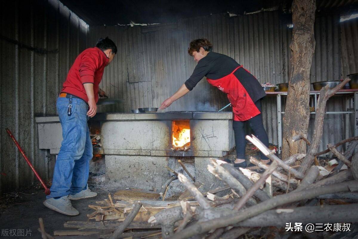 原創專家春節即將來臨建議禁止農村燒柴火做飯這些說法有道理嗎