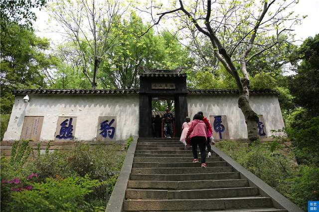 擁翠山莊正如其名,被翠綠的青山環繞擁抱,園中無需再建假山,是蘇州