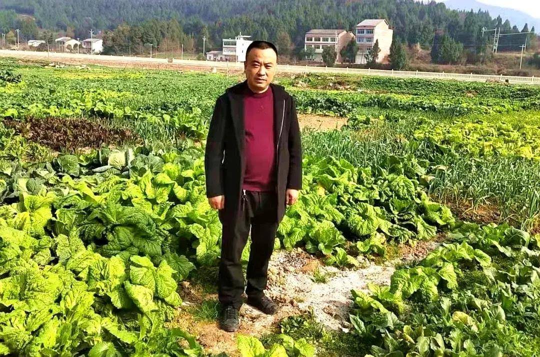 新津这两人了不起→_种植_汪友良_发展