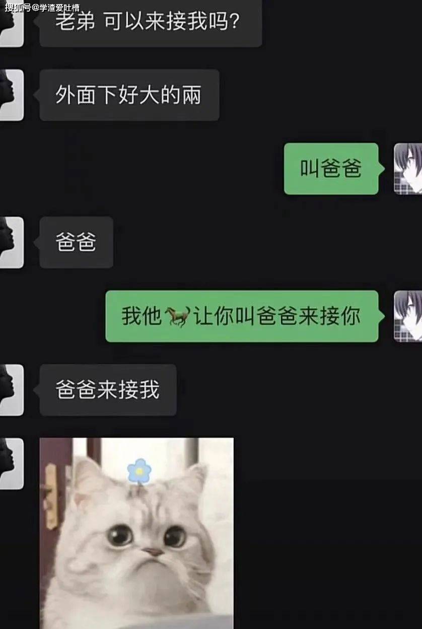 “网友近期的笑点合集!哈哈哈每一张都狠狠戳中我的笑点…”
