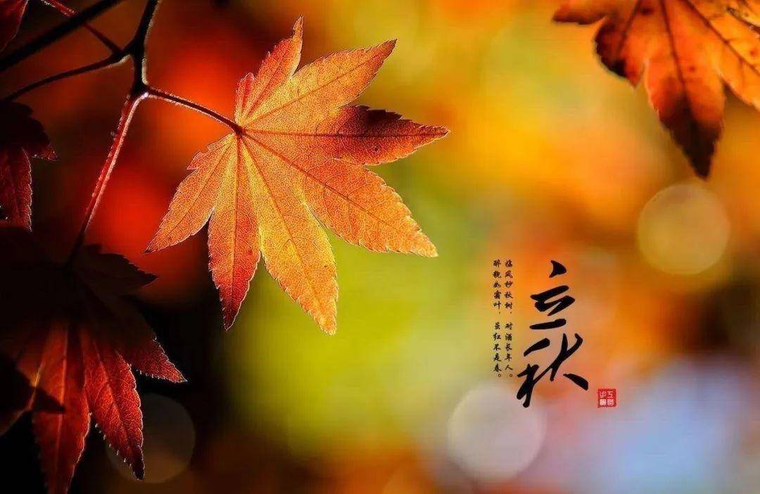 忽然梧叶落庭中,十首立秋的诗词,惟愿你此生一切安然顺遂!