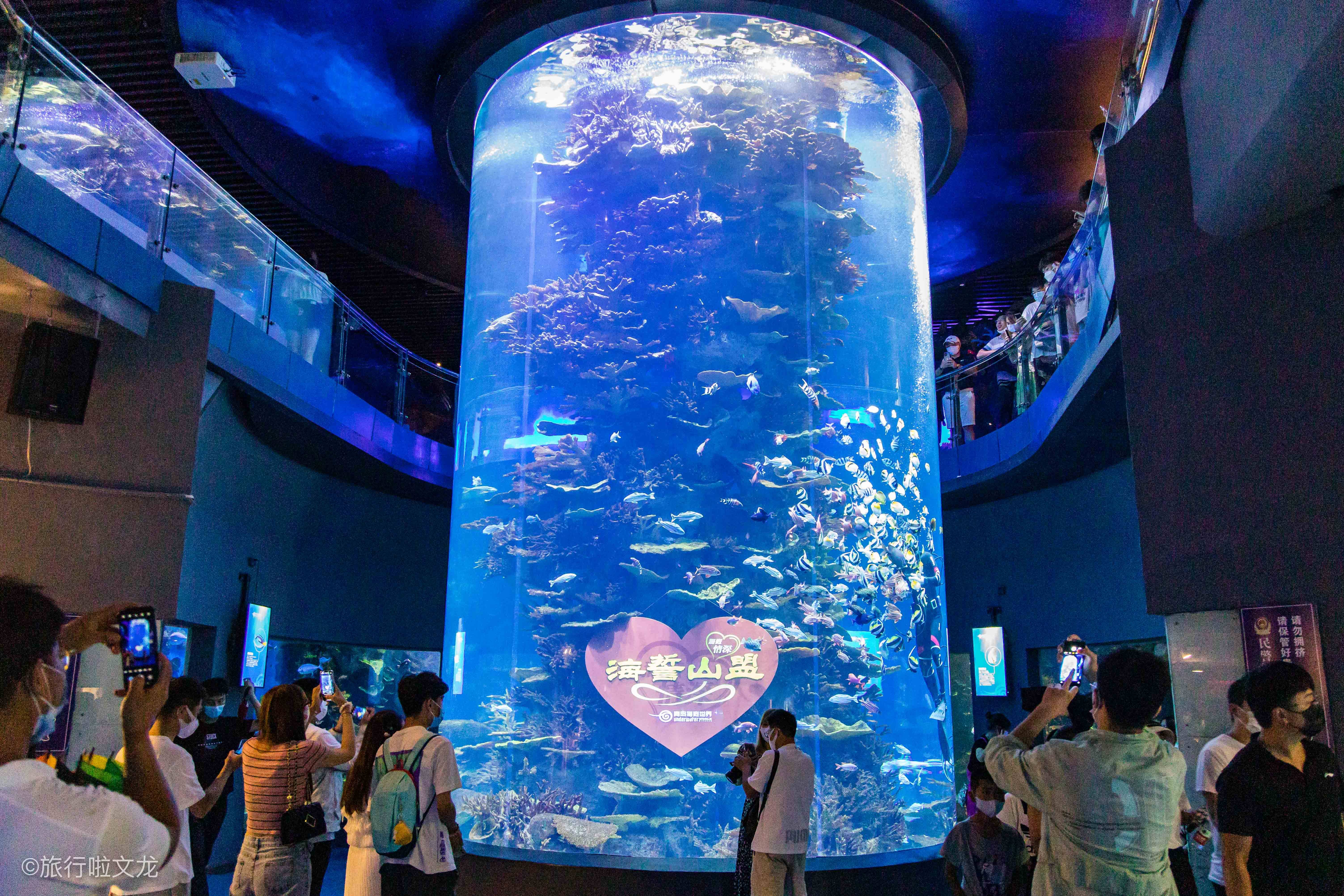 青島暑假旅遊,夏天的海邊,別錯過青島海底世界_生物_標本館_海洋