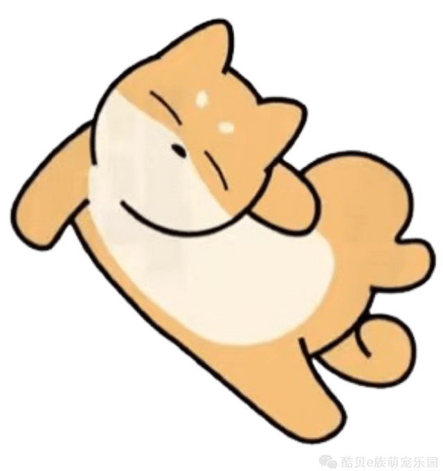 四仰八叉睡表示狗狗非常自信,而四脚朝天睡则表示狗狗心很大,平时基本