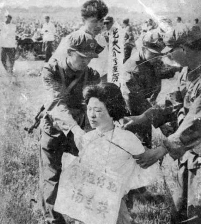 贪污45000元找了7名情夫,被一情夫举报枪毙_百姓_张子善_刘青山