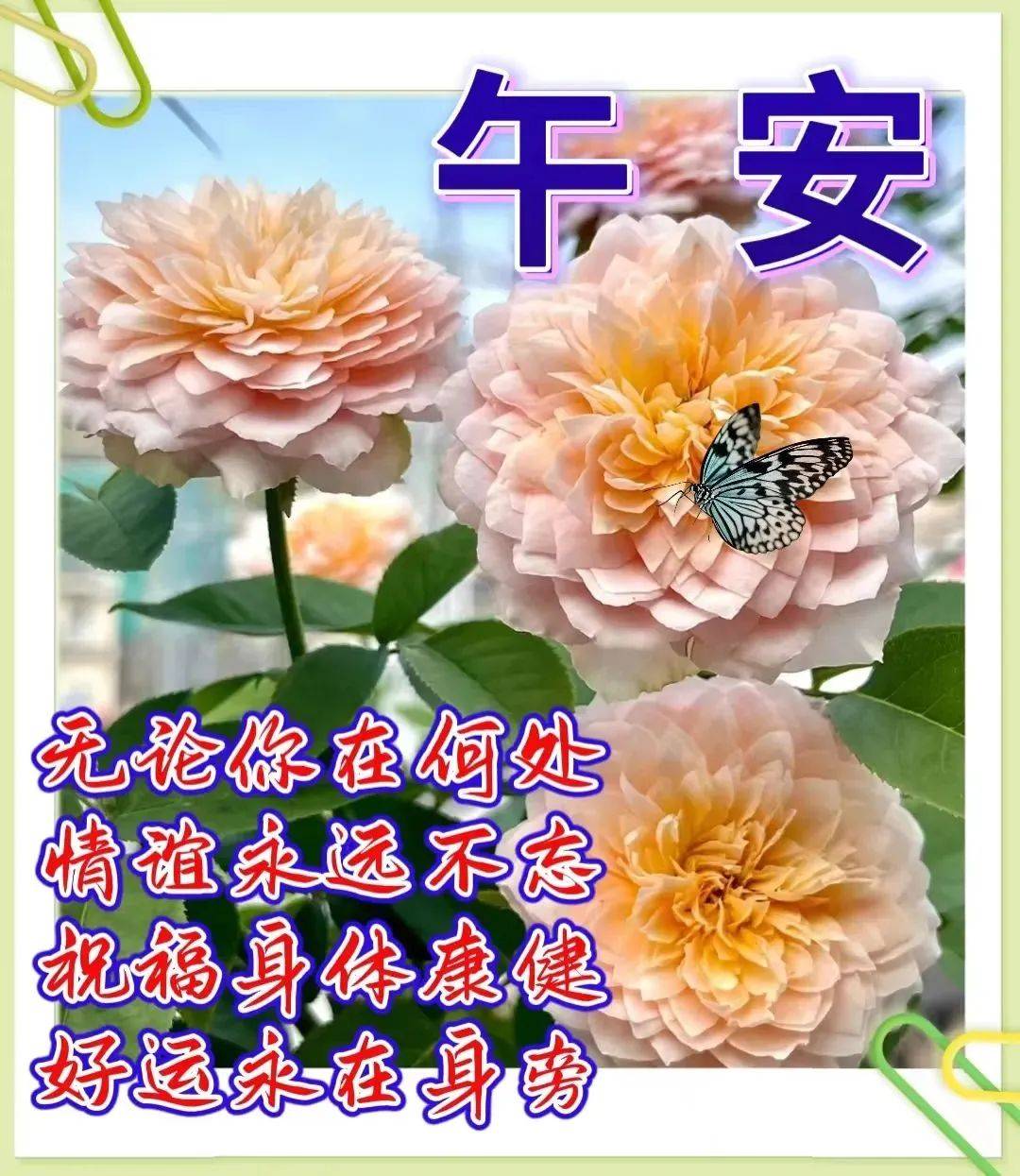 8月9日星期二清晨早上好问候祝福动态表情图片 周二最新早安问候祝福