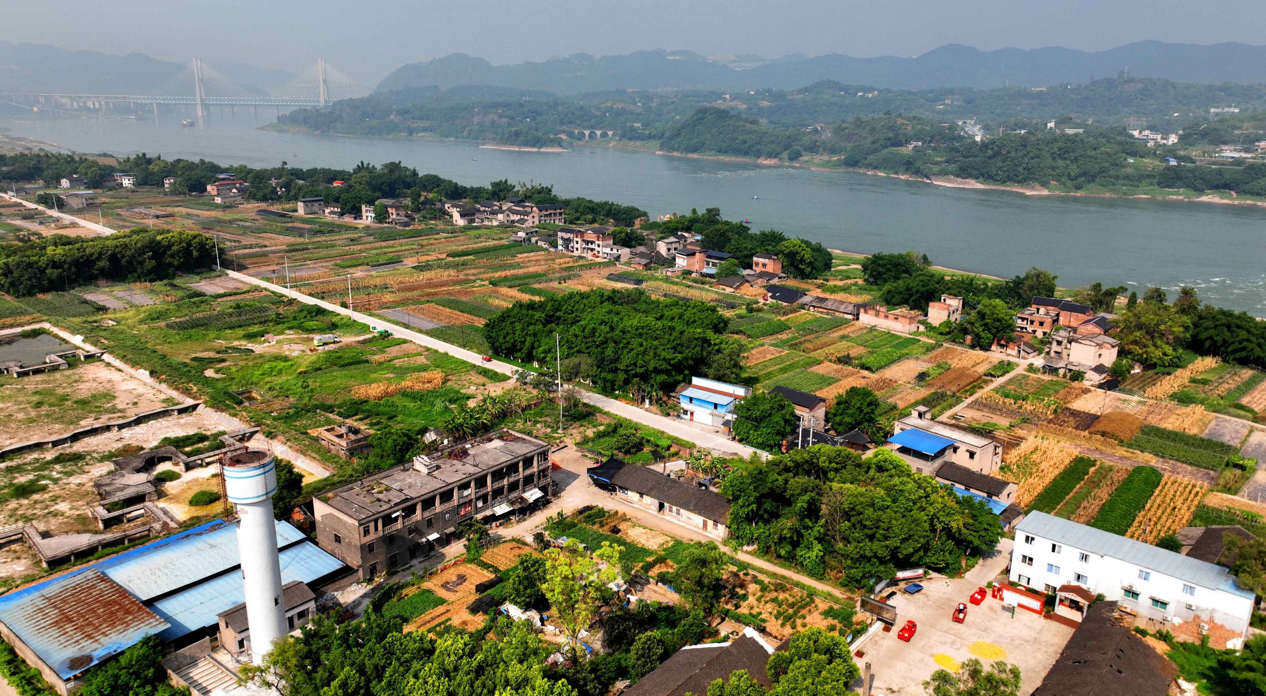 江津中坝岛五福庄园图片