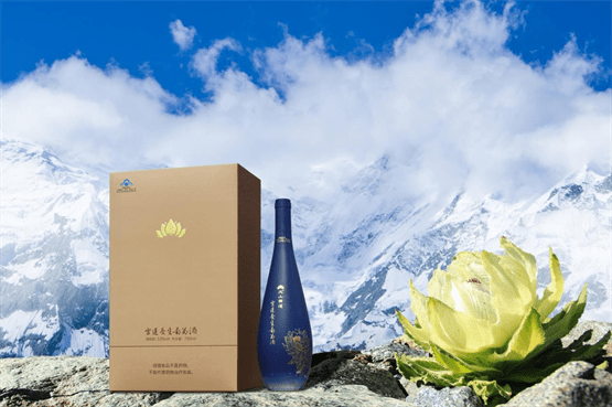 养生圣品雪莲养生葡萄酒甄选海拔4000米以上的天山雪莲及枸杞,当归等