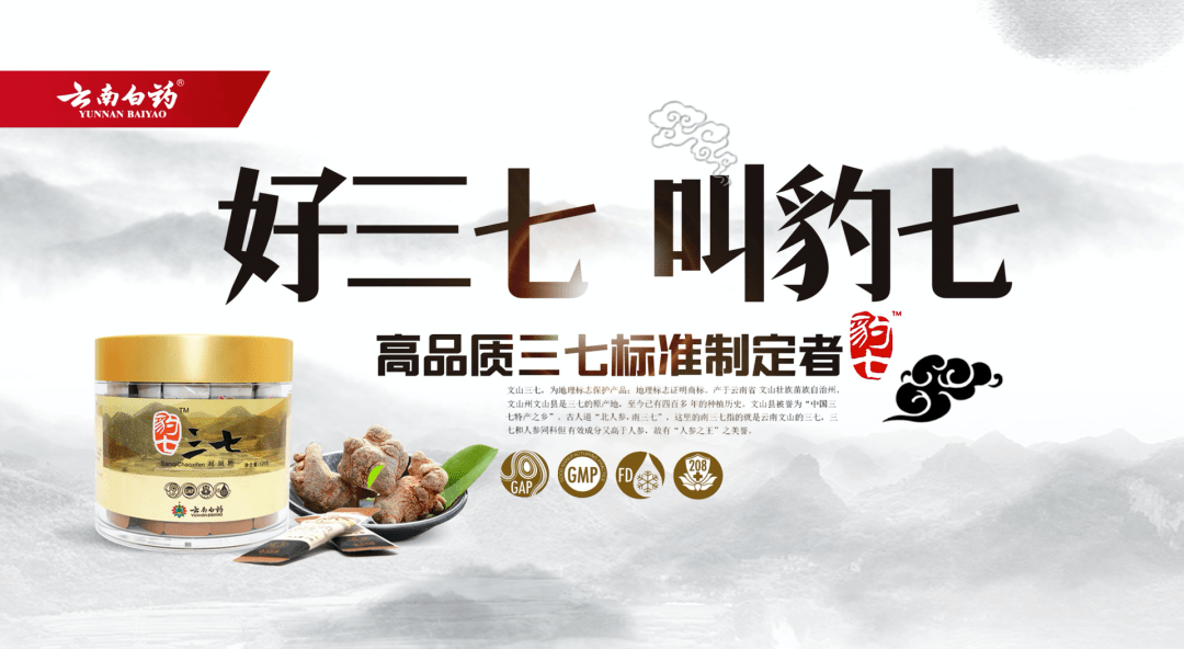 智绘品牌华润三九中药饮片品牌策略思考