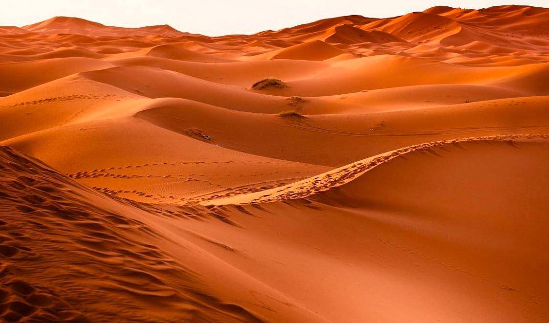 世界上面积最大的沙漠：撒哈拉沙漠有多深？沙子下面都有什么？