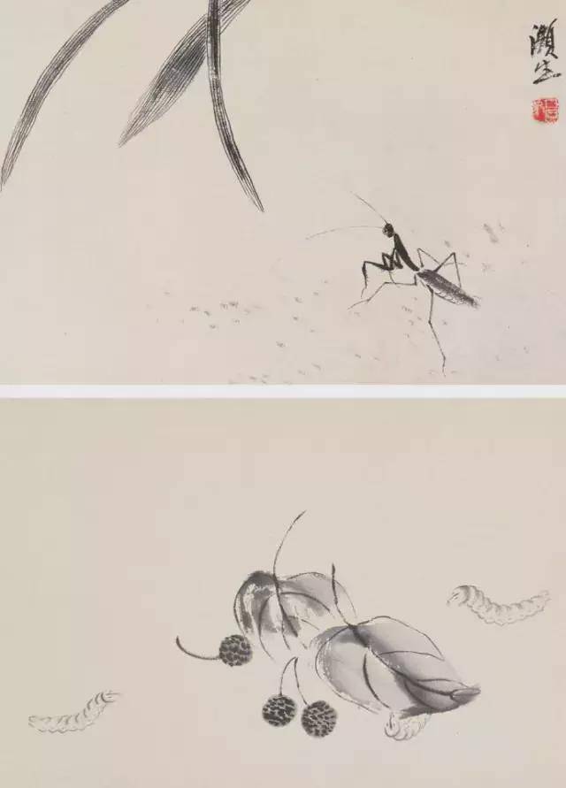 齐白石草虫图200张,中国齐白石书画院院长齐良芷弟子说,他把工笔草虫