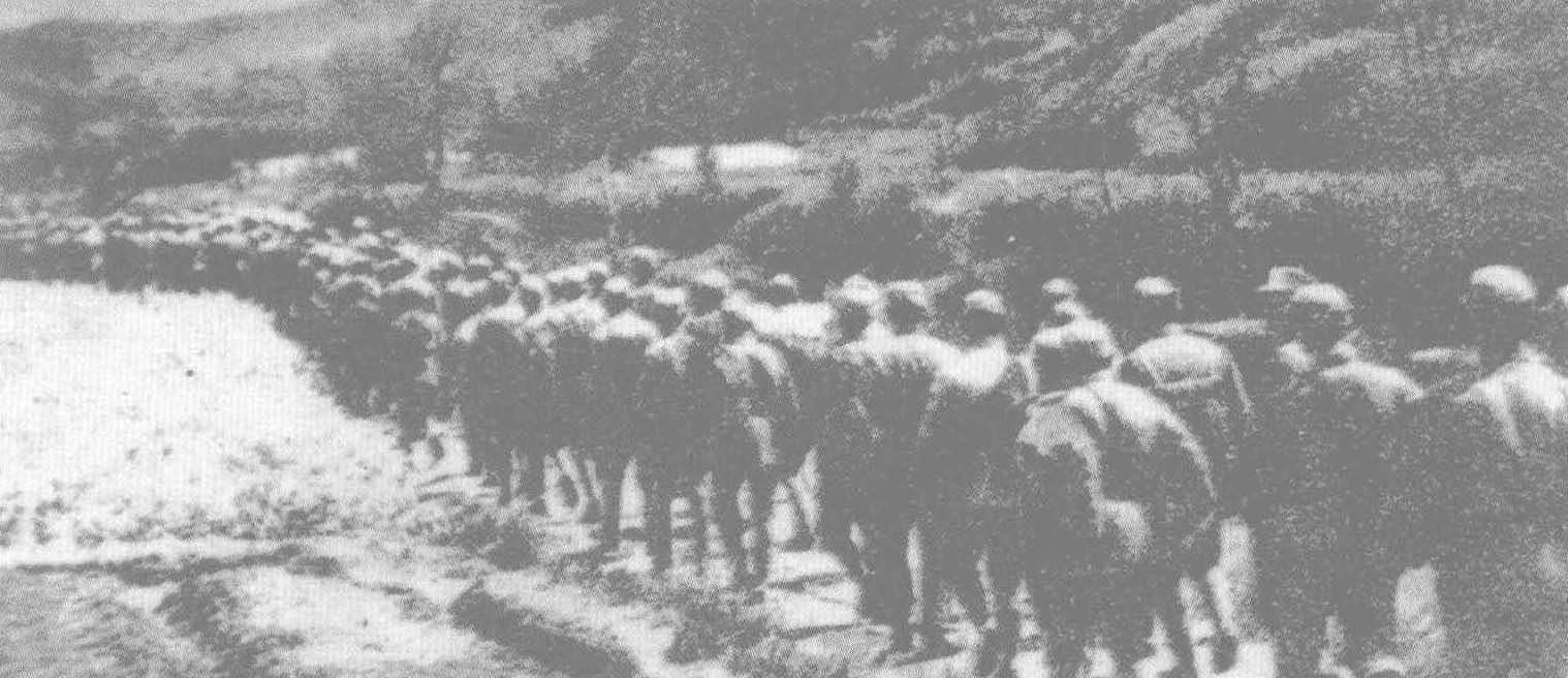 游击队等编成,高敬亭任司令员,戴季英任副司令员,下辖第七团,第八团