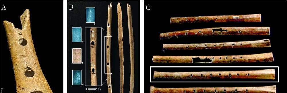 河南挖出9000年前的樂器,堪稱世界笛子的鼻祖,埃及專家又慌了_賈湖