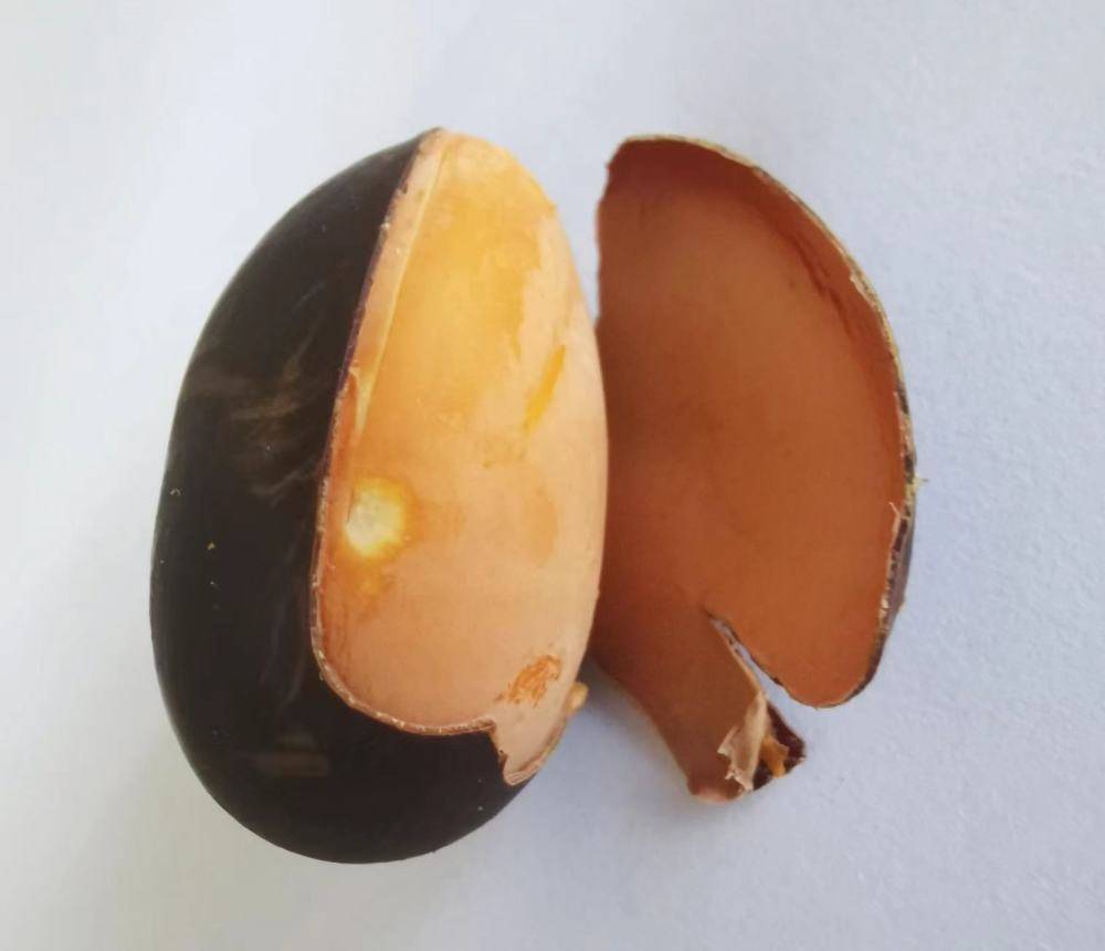 终于知道,凤眼果为什么又叫九层皮!_美味_娇娇_雨花石