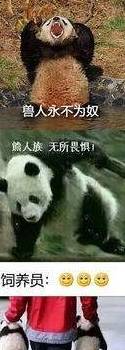 熊人族无所畏惧!然后却被饲养员提着走了.