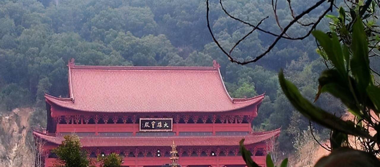 中国有座8000平米的寺庙,里面藏着一颗千岁的腊梅,就在南京_龙泉_进行