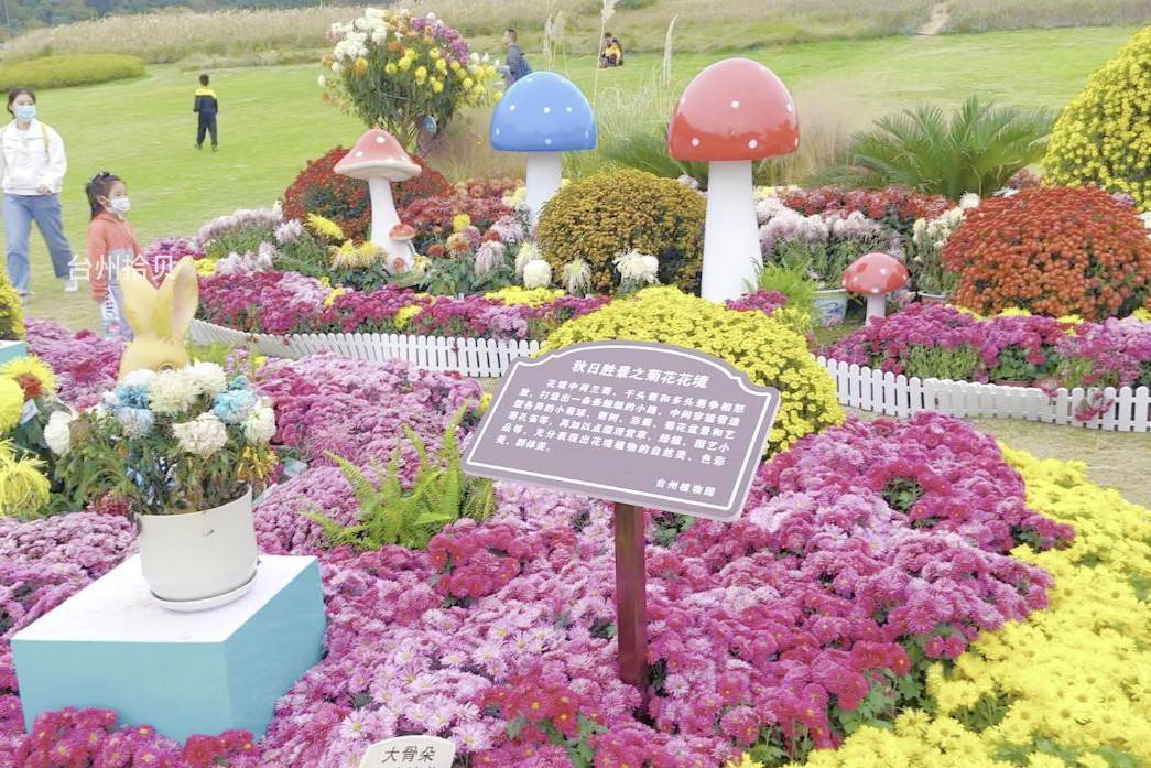 台州植物雕塑园图片