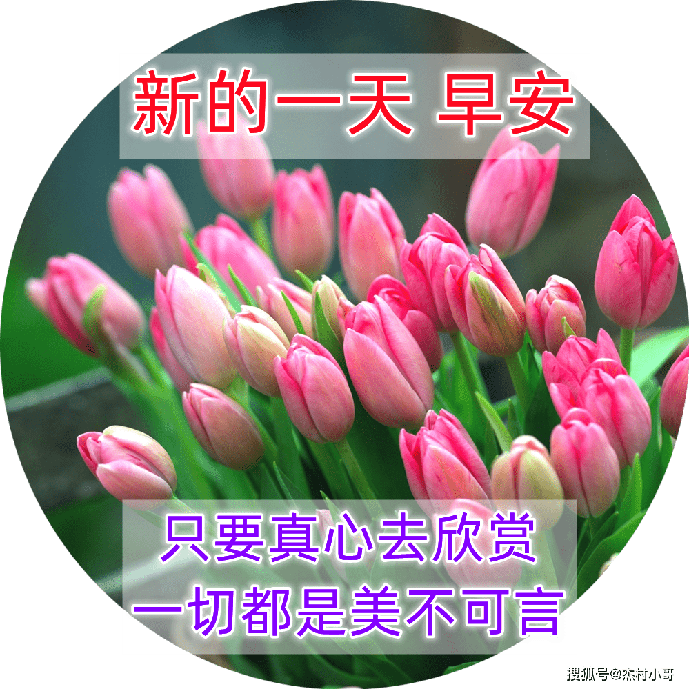 12月23日最漂亮早上好动态表情图片大全,早晨好动图美图大全_问候