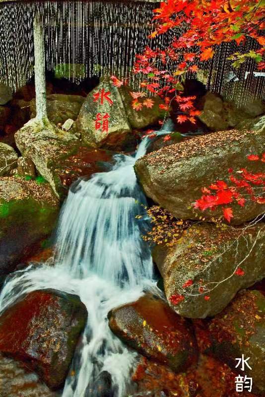 犹记桃花雨空濛,‖ 望断秋水余光分人悬崖边.