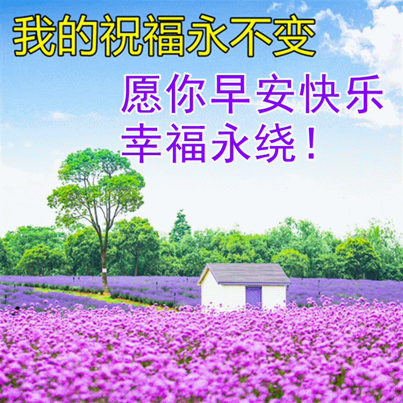 12月24日最新问候早安图片动态带字 早上好问候图片动态带字_祝福