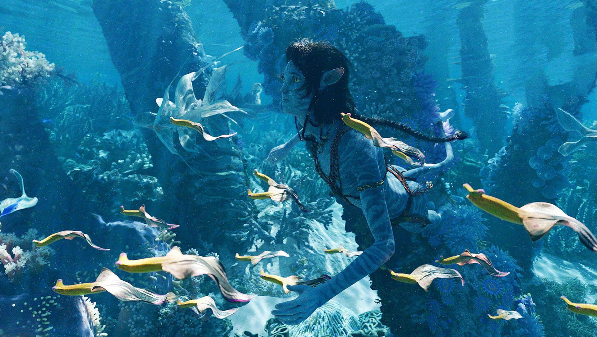 为什么说《阿凡达》充斥着美国人的傲慢?