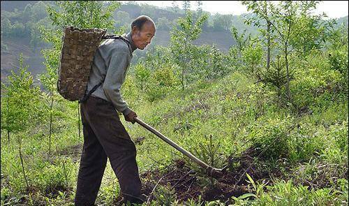 湖北一捕蛇人死于蛇口后,蛇群竟来坟头狂欢!难道蛇真的记仇?