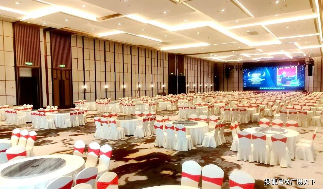荣誉国际酒店(天长店)多功能国际(宴会,会议会展)厅掠影 气势恢宏设备