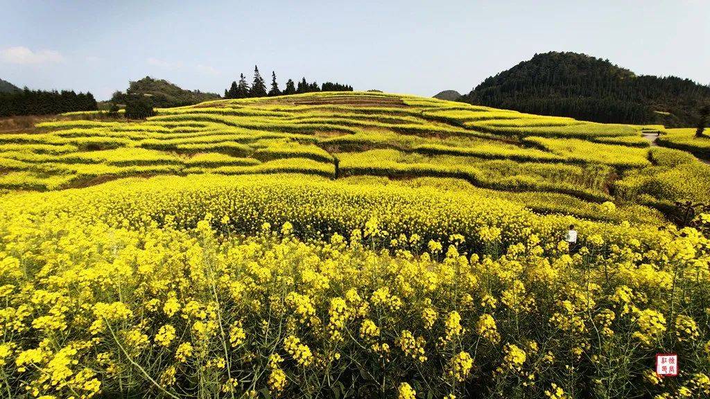 摄影简语:1,云南:以其美丽,富饶,神奇而著称于世,令无数摄影爱好者心