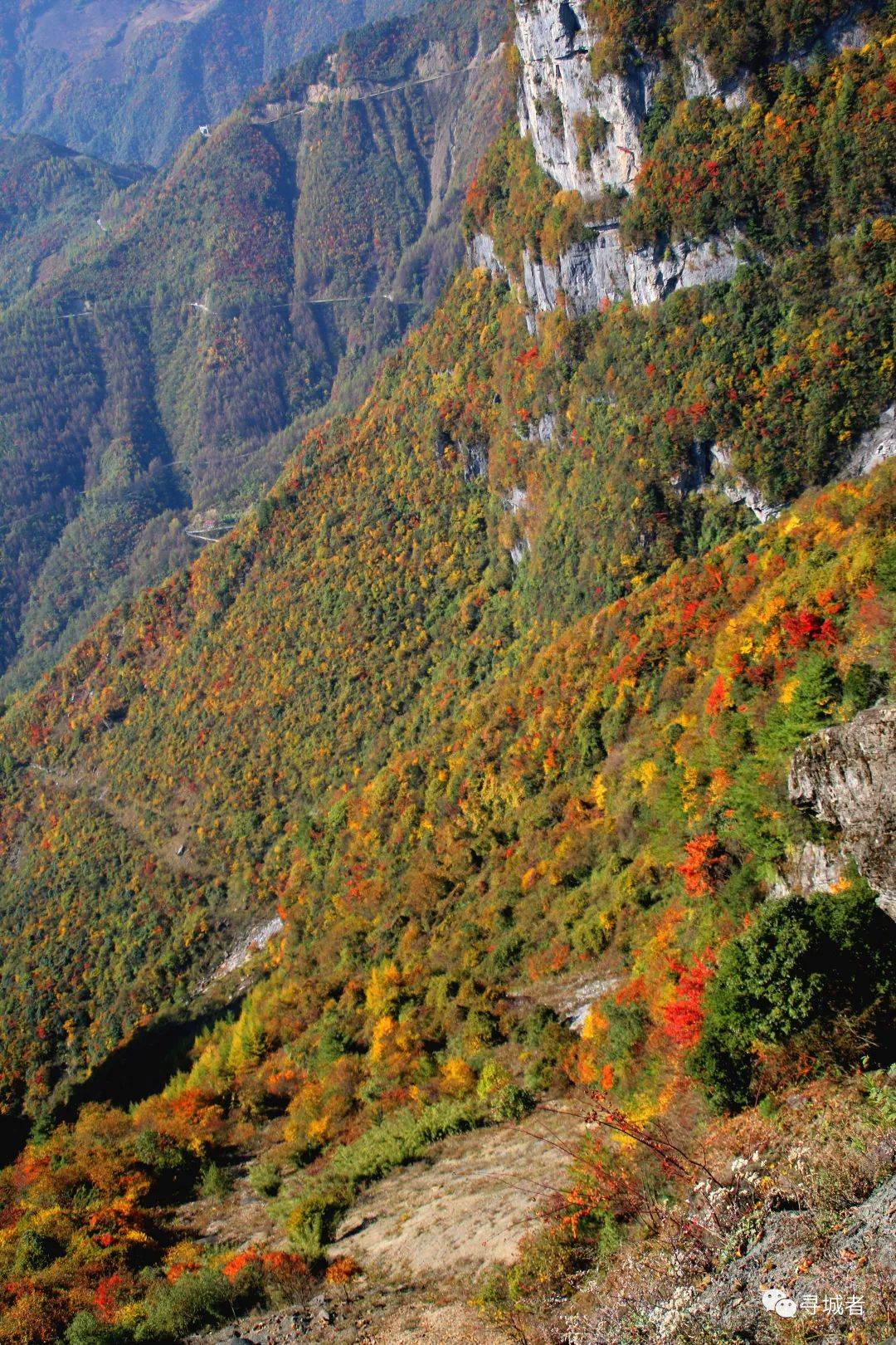 雪山寻宝,邂逅大巴山里的五彩童话世界