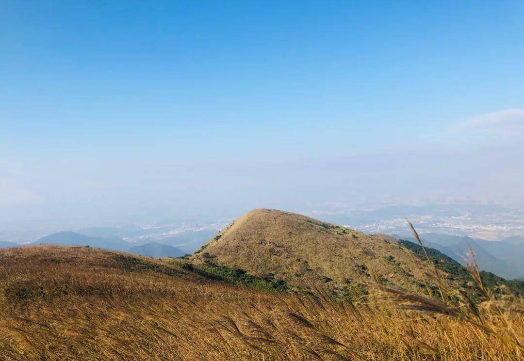 雙峰連登,東莞銀瓶嘴 惠陽白雲嶂,看漫山金色芒草蕩_活動_出發_費用