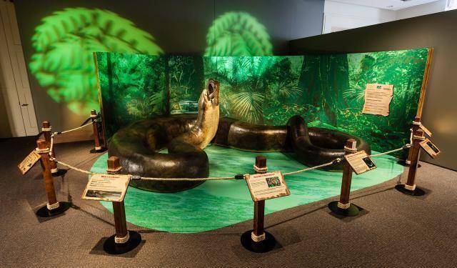 跨越时空的史前王者对决:泰坦巨蟒和霸王龙,剑齿虎,短面熊_体型_恐龙