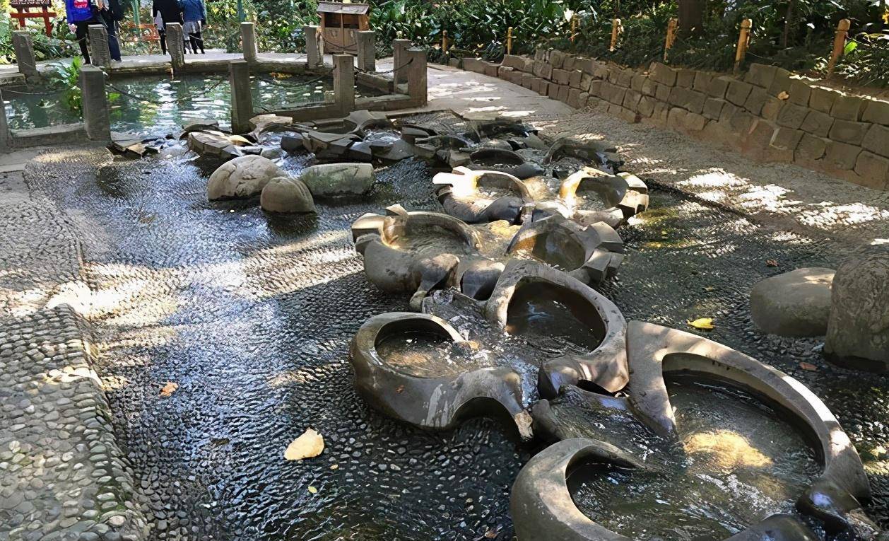 世界第一座环境教育公园,现免费开放_活水_时候_门票