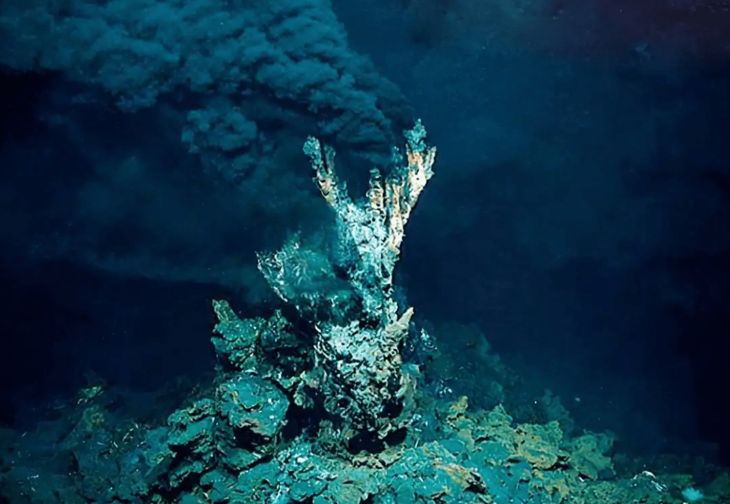 海底恐怖图片 巨型图片
