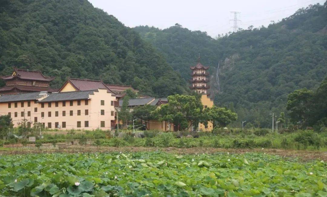 温岭紫莲山景区图片