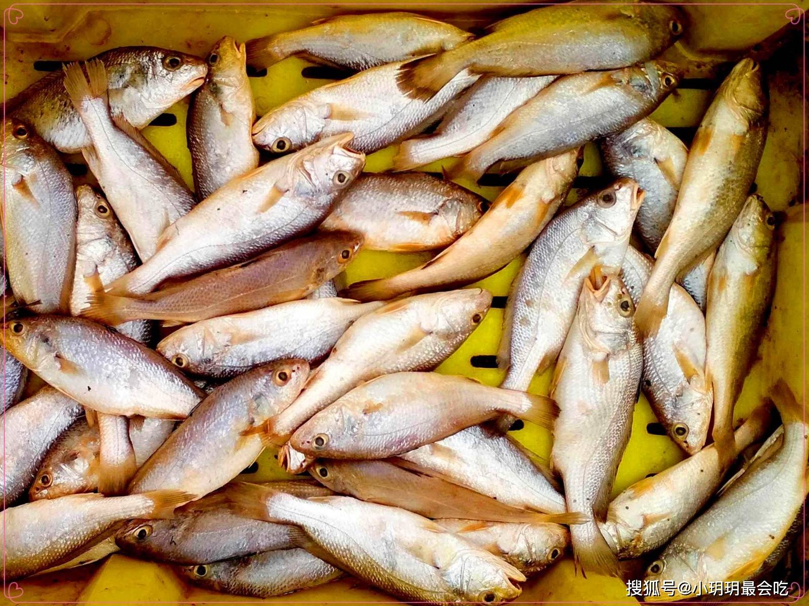 【图】正宗的炸带鱼家常做法，如何做出好吃的炸带鱼_饮食文化_美食-伊秀生活网|yxlady.com