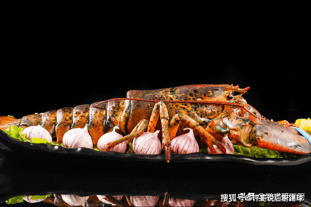 同样是龙虾，“澳龙”和“波龙”如何分辨？有啥区别？涨知识了_价格_龙的_口感