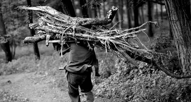 1977年男子上山砍柴,不小心砸碎一个陶罐,里面有一只金灿灿的熊_玉熊