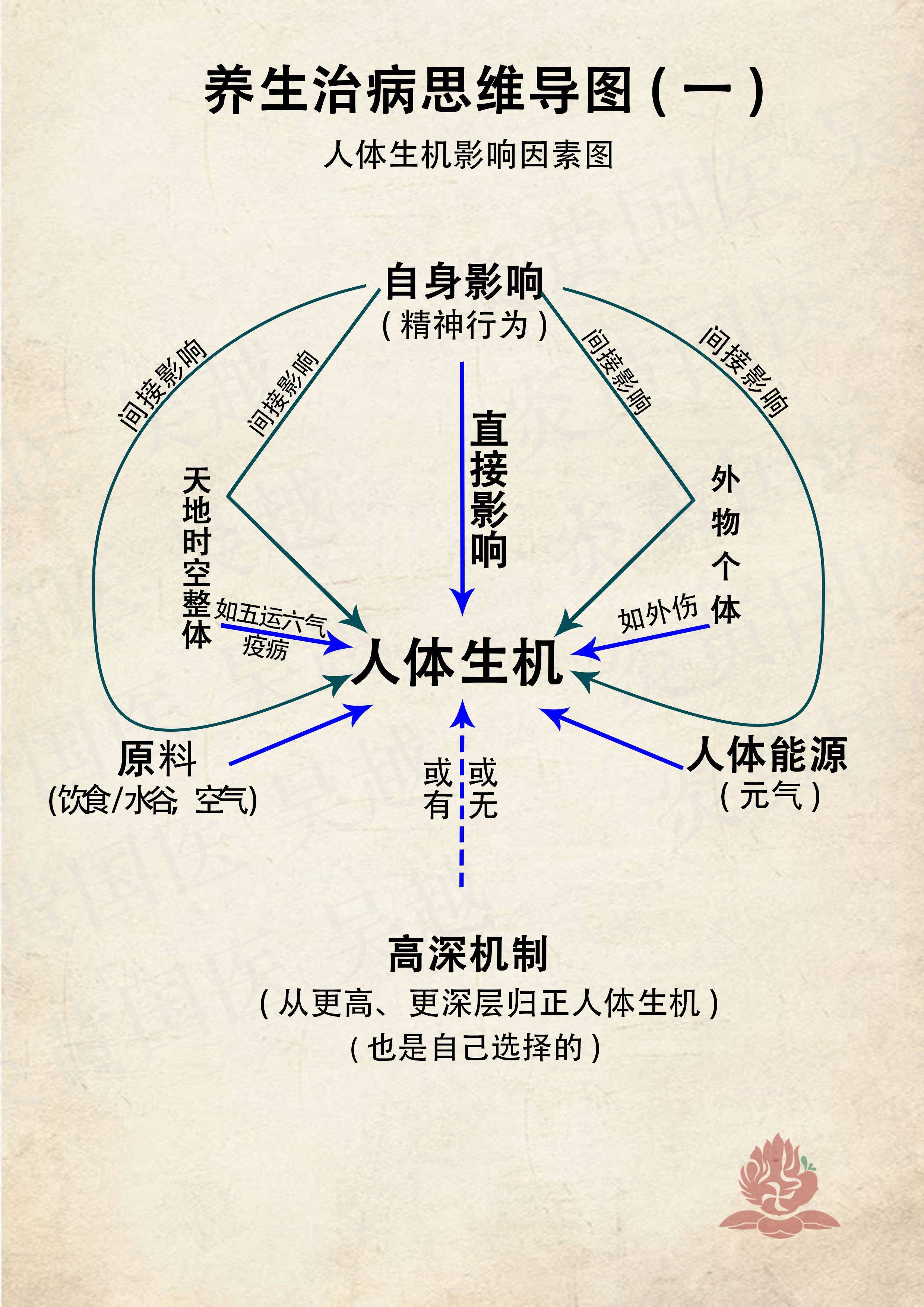 人的经络系统:十二经筋_太阳_燔针_小指