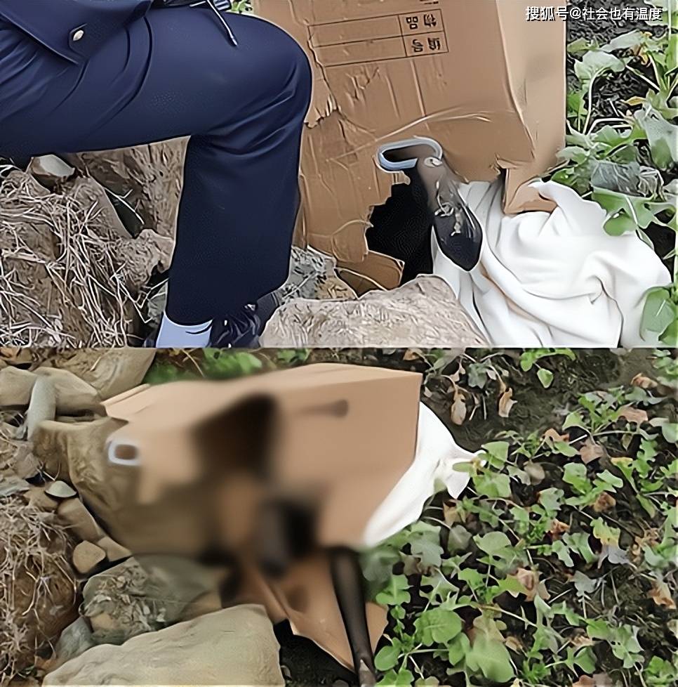 湖北一大爷发现衣衫不整的女尸,民警到场后尴尬不已:这是个娃娃