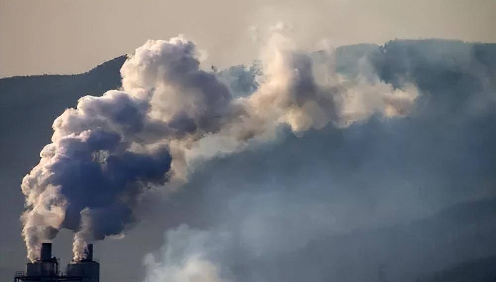 1930年比利时河谷出现浓雾,消散后遍地紫色尸体,调查发现不简单_死亡