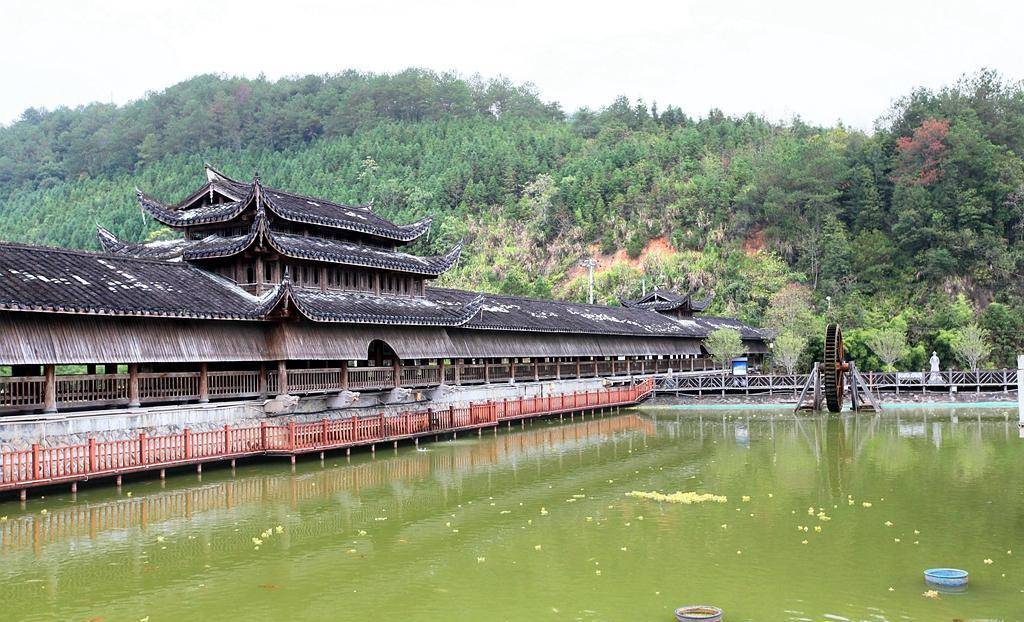 福建这里有绝美银杏林,就在顺昌_宝山_天台山_风景