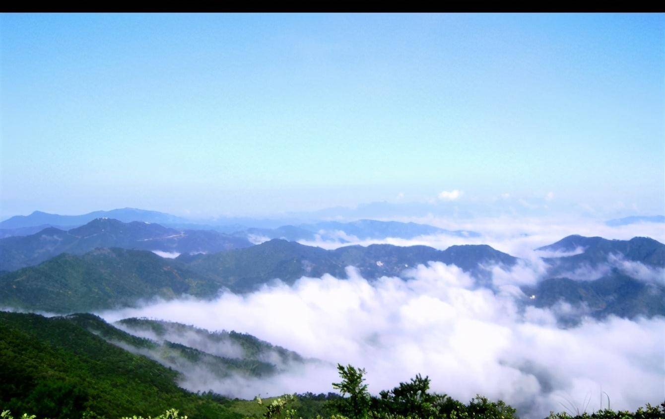 帶你領略廣東信宜名山大仁山的雲霧美景,領略迷幻之美_感覺_雲海_因為