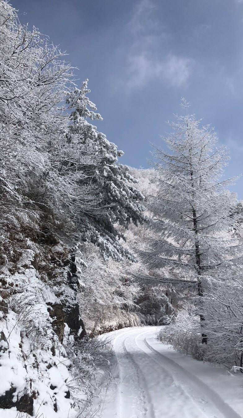 很多人都会想到皑皑白雪,秦岭雪景美不胜收,值得一观_雪乡_大雪_盘山