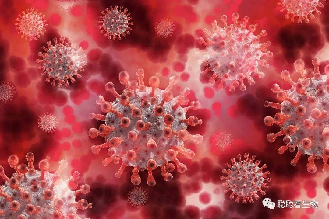 双螺旋结构示意图类似下面的这几张图片,分别是dna,细胞,蛋白和病毒