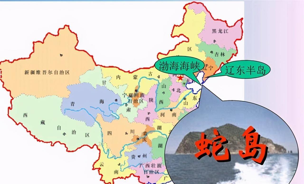 中国"神秘"一座蛇岛,10000多条毒蛇,真怕咬成"马蜂窝"_保护_人类_因为