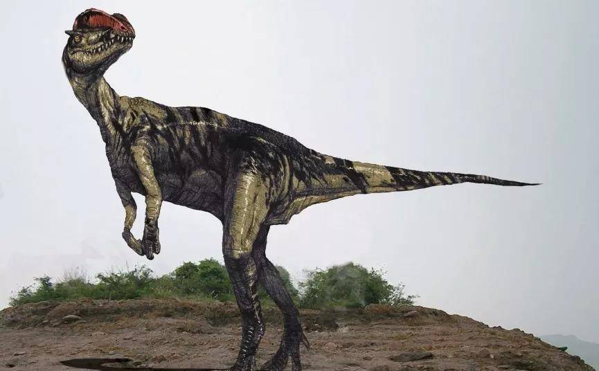 双脊龙是一种很没名气的恐龙,我都没看到过和它有关的纪录片,影视作品