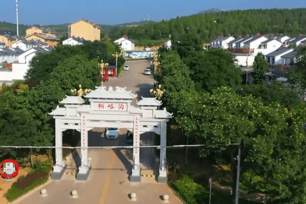 青州市弥河镇桐峪沟村获评第九批全省民主法治示范村(社区)