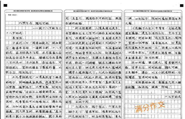 全程干货（中考满分作文600字）中考十篇必看满分作文带题目 第4张