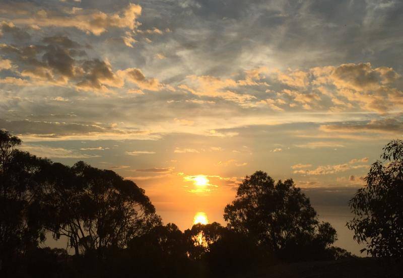 美国为女儿当"保姆"观景台海滩被成群结队海狮占领了_礁石_沙滩_大海